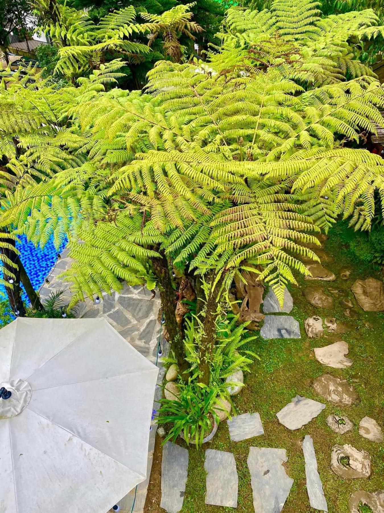 Love House Homestay Sapa Luaran gambar